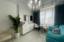 1-к. квартира, 43,7 м², 11/24 эт.